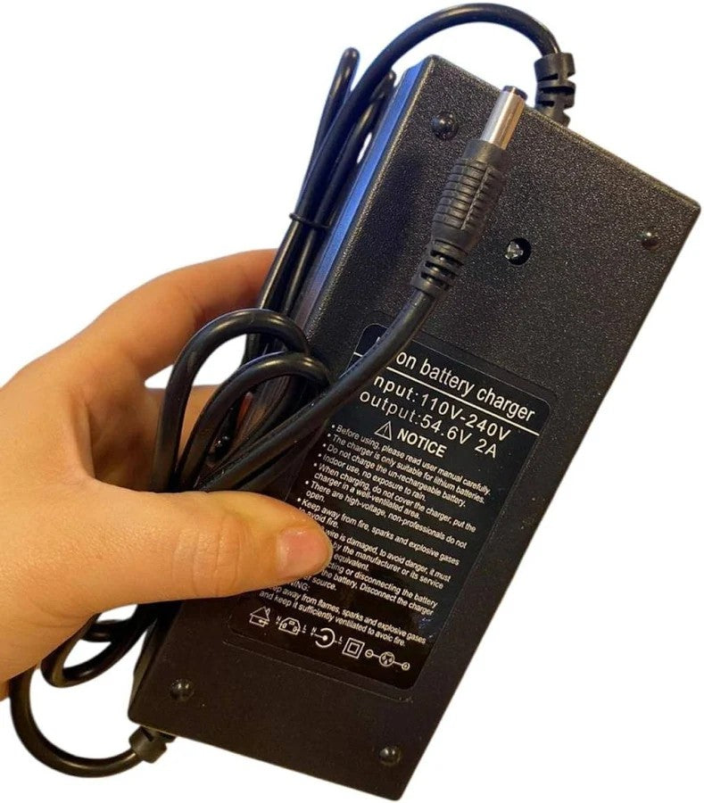 Bateria Rava E-Pulse 48 V 15,6 Ah com Carregador Modelo 4
