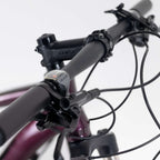 Bicicleta 29 Tsw Jump 27v Shimano Alivio
