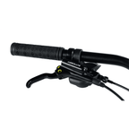 BICICLETA 29 ABSOLUTE NERO 4 SPORT 2X9V C/ HIDRÁULICO