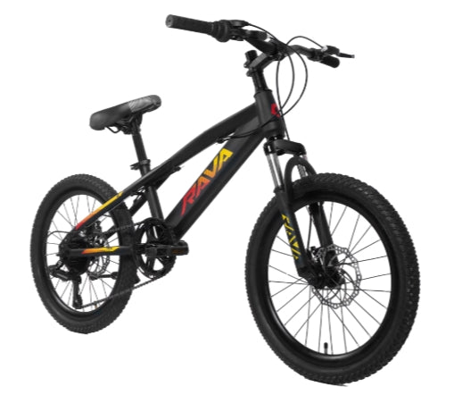 Bicicleta 20 Rava Pressure Jr 7v