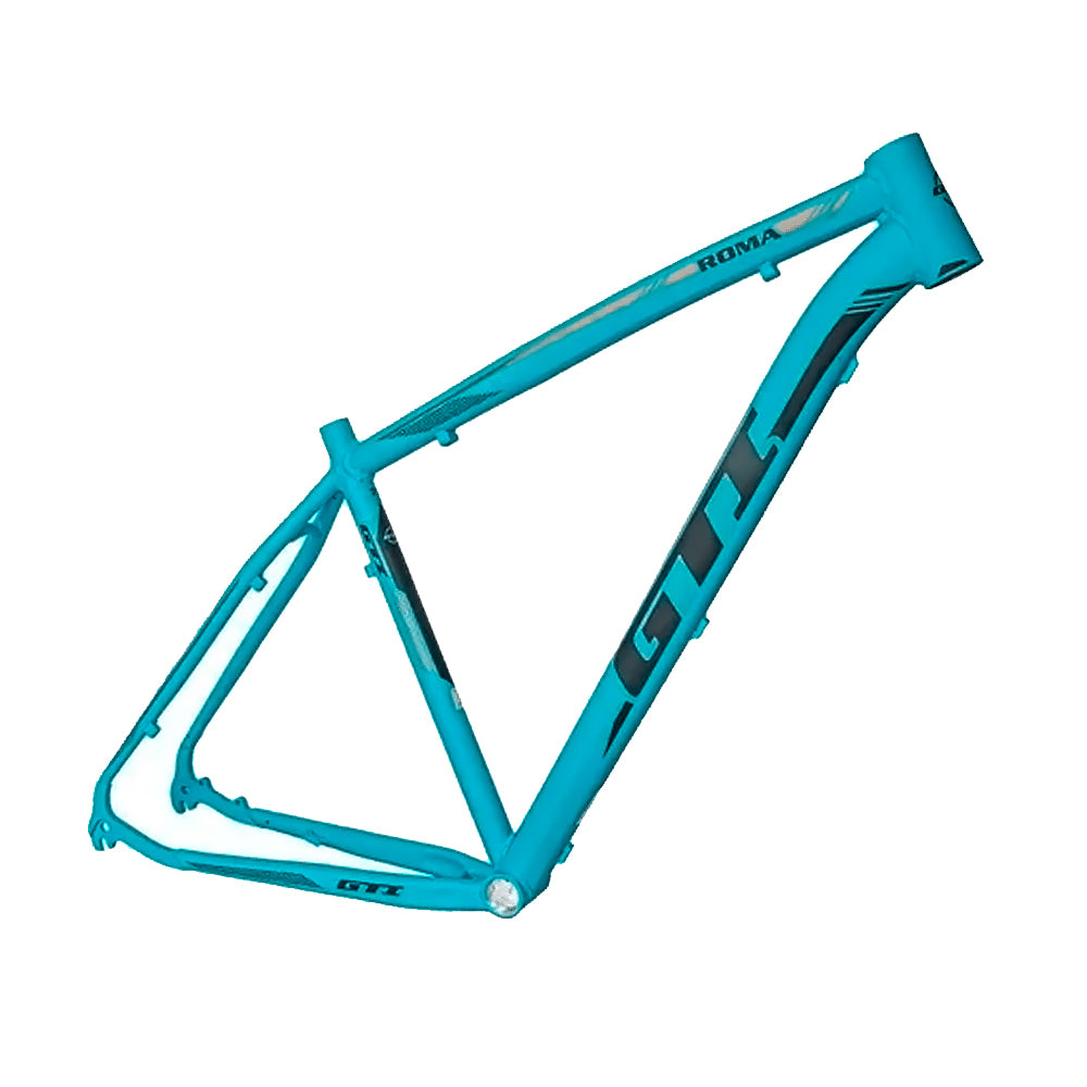 QUADRO 29 GTI ROMA MTB