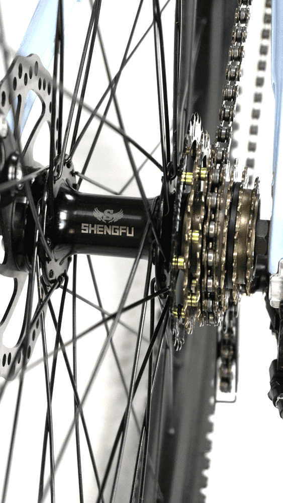 Bicicleta 29 Elleven Belle 21v Shimano Feminina