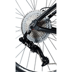 Bicicleta 29 Absolute Nero 4 Team 12v Hidráulico C/ Manitou