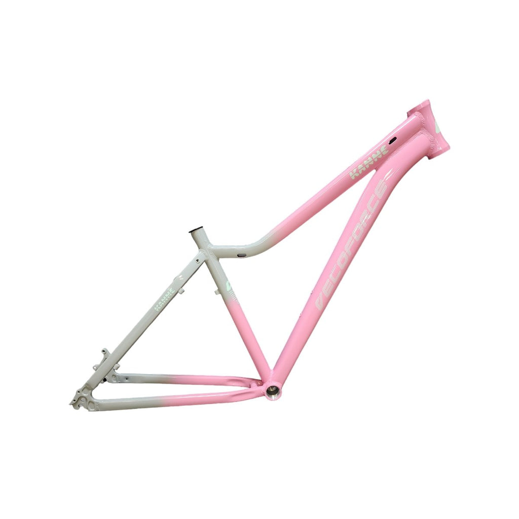 QUADRO 29 FEMININO KENNE T15 BICOLOR CINZA/ROSA