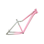 QUADRO 29 FEMININO KENNE T15 BICOLOR CINZA/ROSA