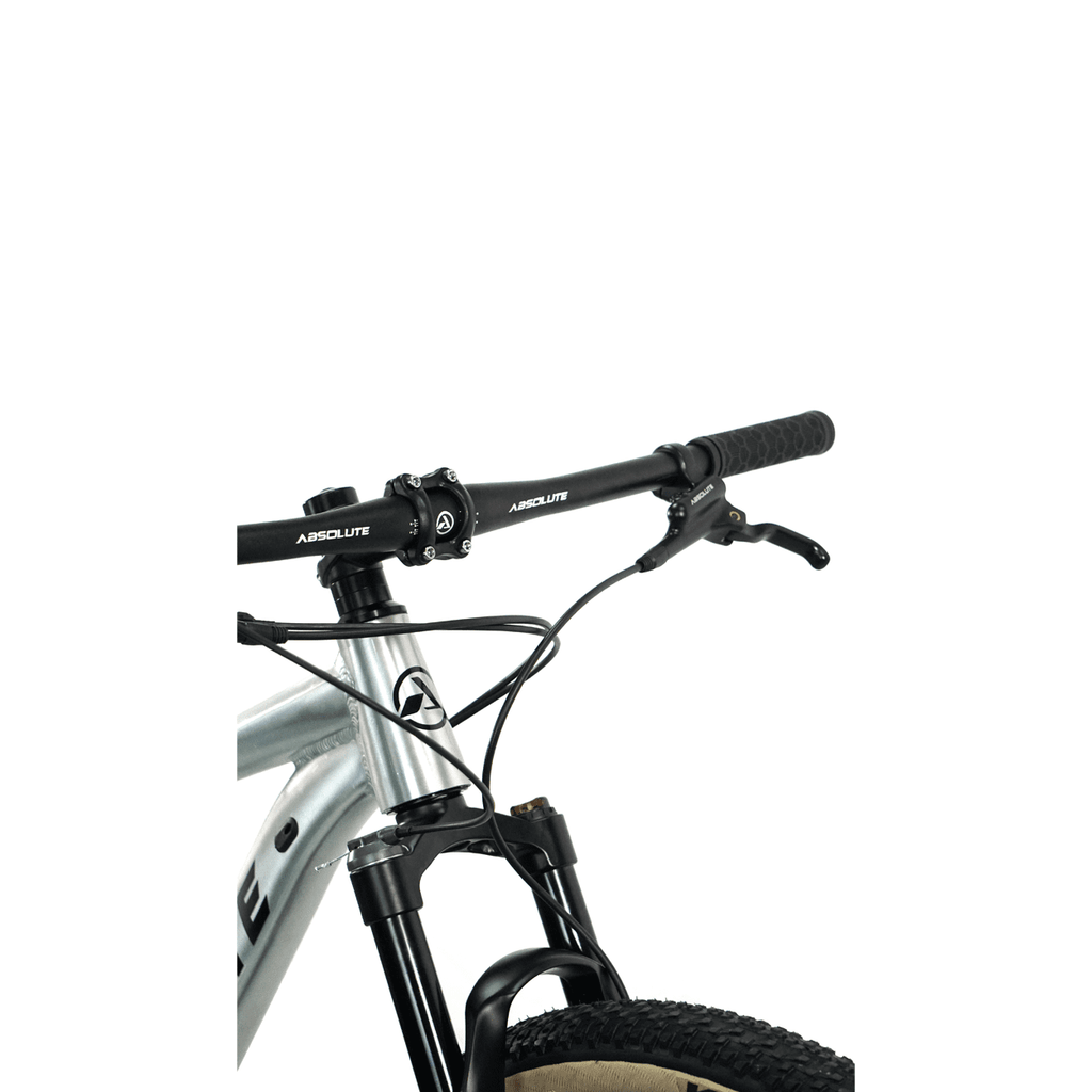 BICICLETA 29 ABSOLUTE WILD BOOST ELITE 12V C/ HIDRÁULICO POLIDO (S - 15)