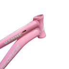 QUADRO 29 FEMININO KENNE T15 BICOLOR CINZA/ROSA