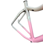 QUADRO 29 FEMININO KENNE T15 BICOLOR CINZA/ROSA