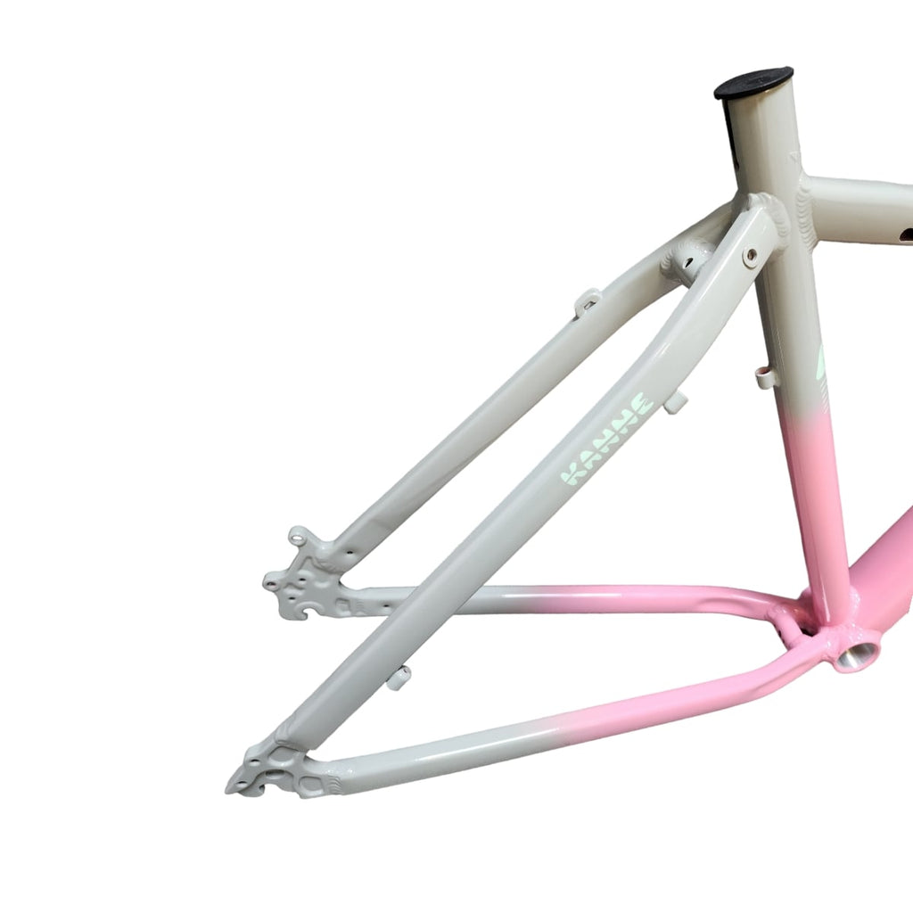 QUADRO 29 FEMININO KENNE T15 BICOLOR CINZA/ROSA