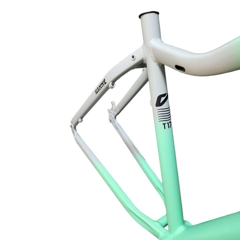 QUADRO 29 FEMININO KENNE T15 BICOLOR CINZA/VERDE