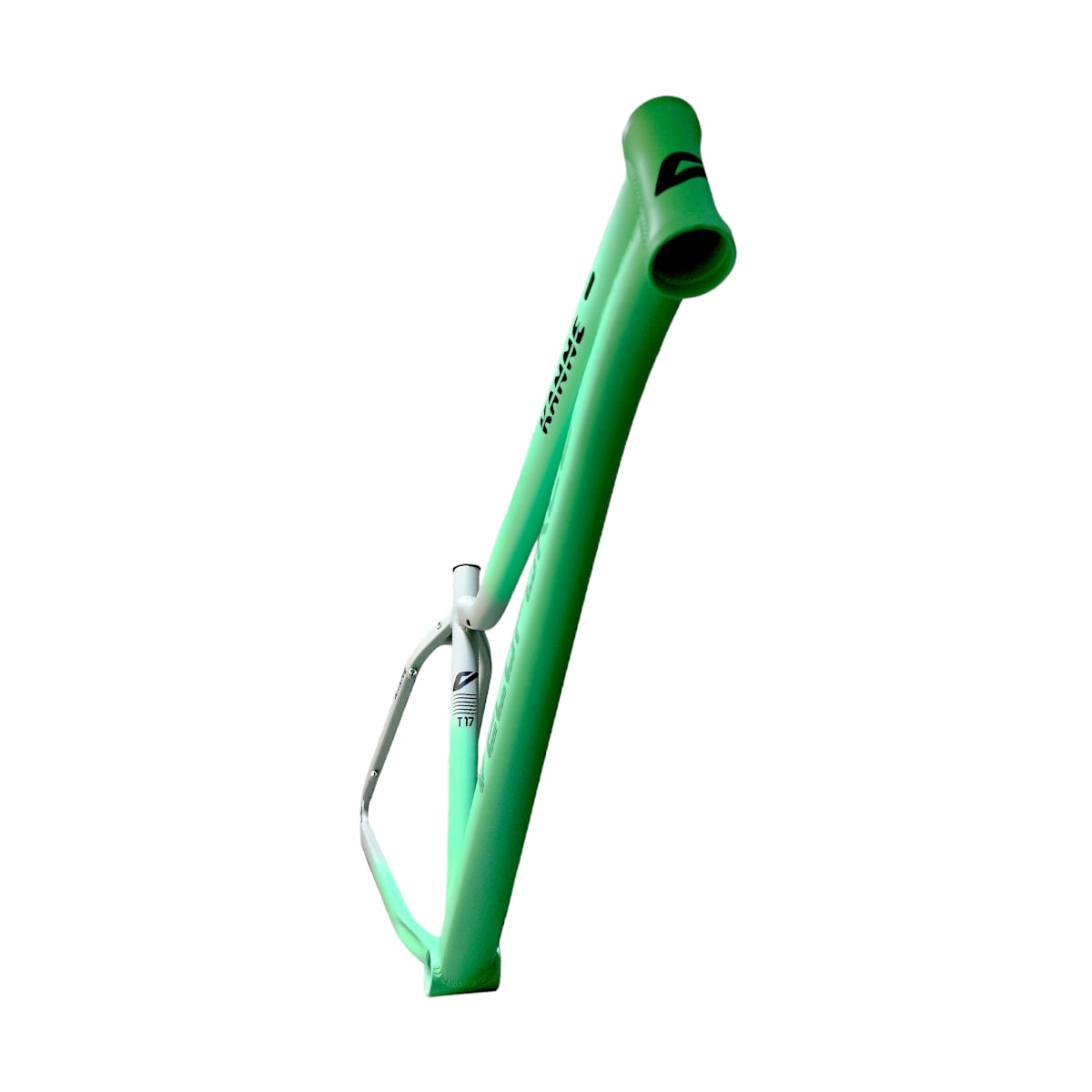 QUADRO 29 FEMININO KENNE T15 BICOLOR CINZA/VERDE