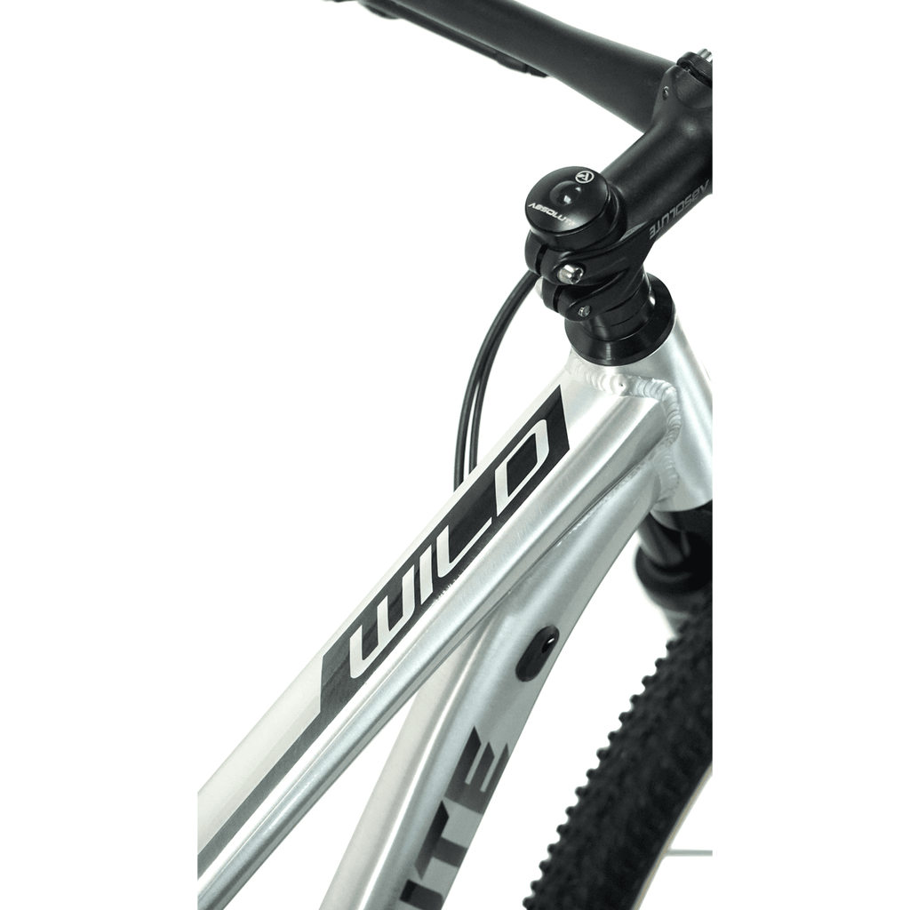 Bicicleta 29 Absolute Wild Boost Elite 12v C/ Hidráulico Polido (s - 15)