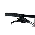 Bicicleta 29 Absolute Nero 4 Team 12v Hidráulico C/ Manitou