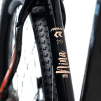 Bicicleta 29 Rava Nina 24v C/ Freio Mecânico