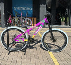 Bicicleta 26 Viking-X Tuff 30  Roxo/Amarelo