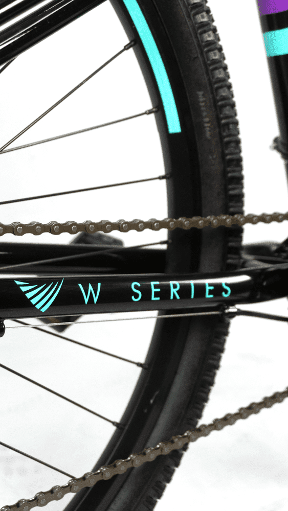BICICLETA 29 ELLEVEN BELLE 21V SHIMANO FEMININA