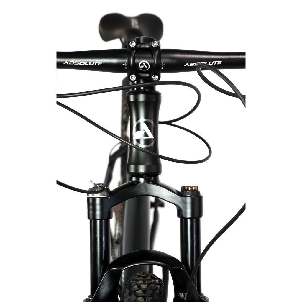 Bicicleta 29 Absolute Wild Elite 12v Hidráulico C/ Trava
