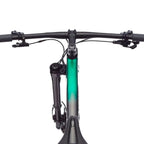 Bicicleta 29 Cannondale F-Si Hm 1 Carbon 12v Xtr - Preto/Verde - (xl - Gg)