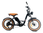 BICICLETA ELÉTRICA RAVA E-PULSE ALLOY 48V ARO 20 750W