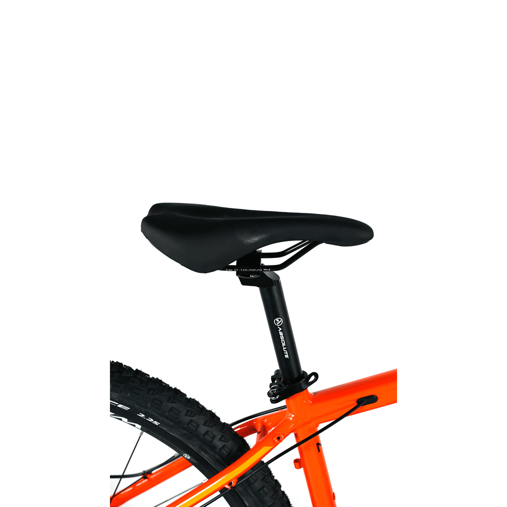 BICICLETA 29 ABSOLUTE NERO 4 PRO 12V HIDRÁULICO C/ TRAVA