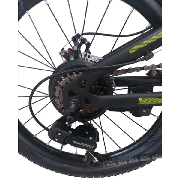 Bicicleta 20 Rava Pressure Jr 7v