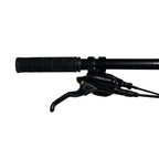 Bicicleta 29 Absolute Wild Team 12v Hidráulico C/ Manitou