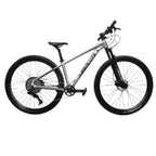 Bicicleta 29 Absolute Wild Boost Elite 12v C/ Hidráulico Polido (s - 15)