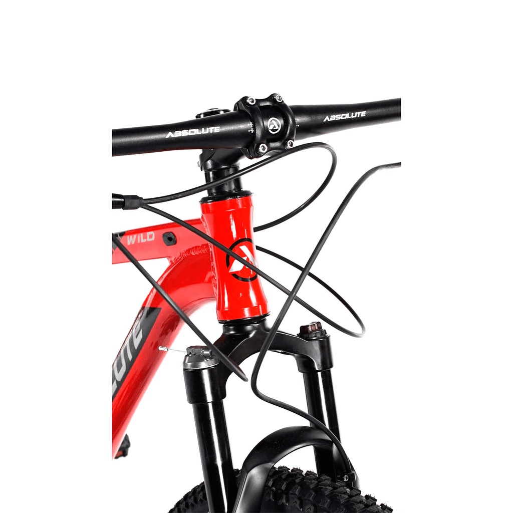 BICICLETA 29 ABSOLUTE WILD ELITE 1X9V C/ HIDRÁULICO