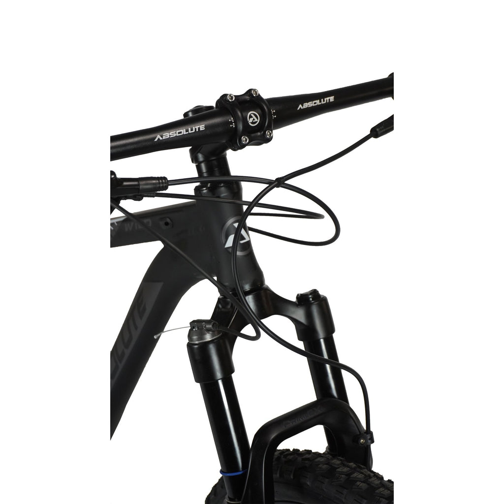 BICICLETA 29 ABSOLUTE WILD PRO 12V HIDRÁULICO C/ TRAVA