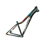 QUADRO 29 ABSOLUTE MTB MIA 3 - 2023
