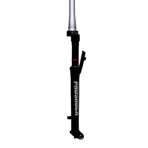 GARFO SUSP 29 PROSHOCK VIBER ARIETE TAPER 15X110 PTO 110mm