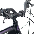 Bicicleta 29 Rava Nina 24v C/ Freio Mecânico