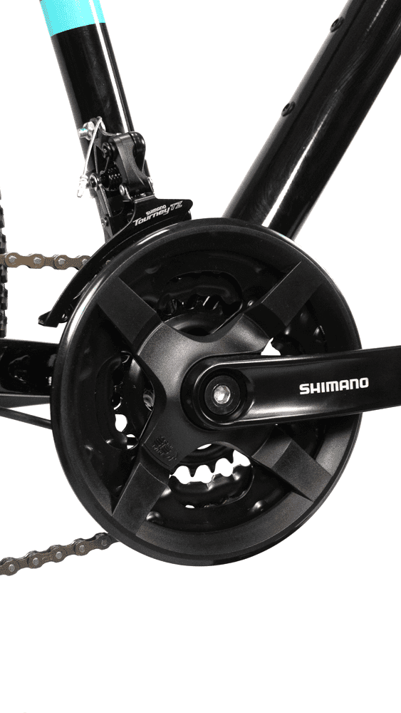 Bicicleta 29 Elleven Belle 21v Shimano Feminina