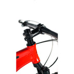 Bicicleta 29 Absolute Wild Team 12v Hidráulico C/ Manitou