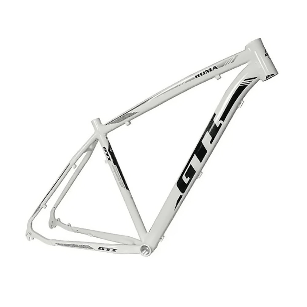 QUADRO 29 GTI ROMA MTB