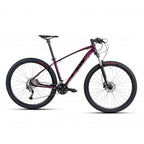 Bicicleta 29 Tsw Jump 27v Shimano Alivio