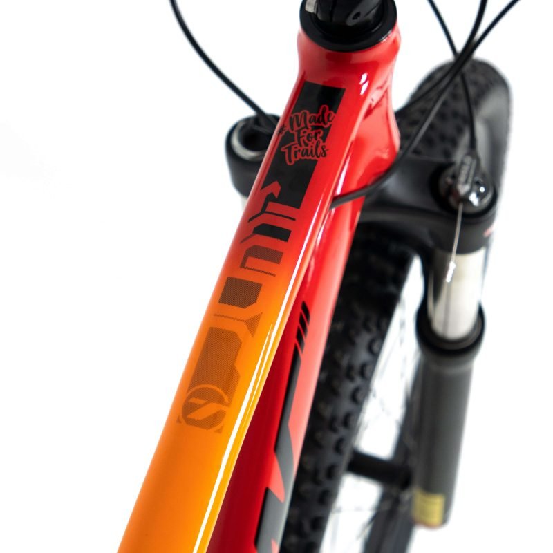 Bicicleta 29 Tsw Jump 27v Shimano Alivio