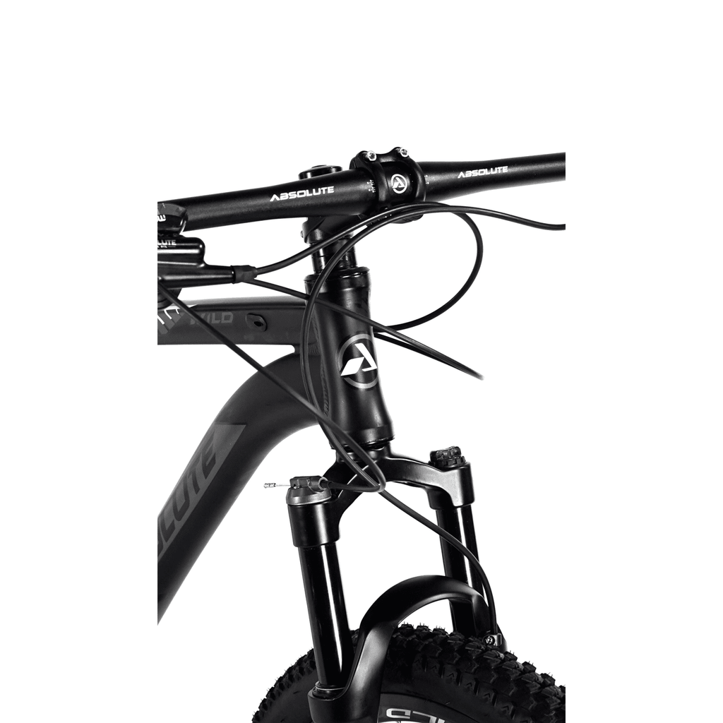Bicicleta 29 Absolute Wild Elite 1x9v C/ Hidráulico