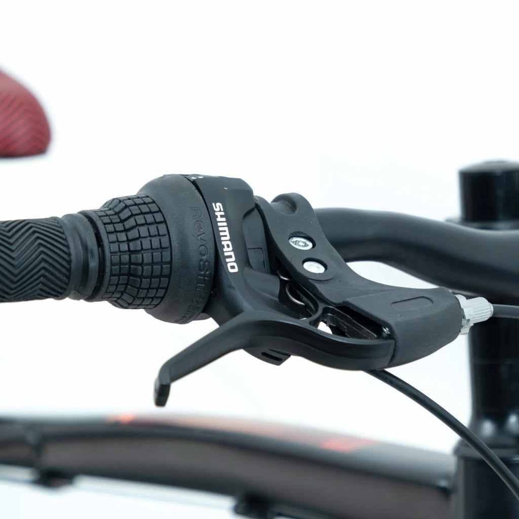 Bicicleta 20 Rava Pressure Jr 7v