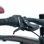 Bicicleta 20 Rava Pressure Jr 7v