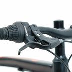 Bicicleta 20 Rava Pressure Jr 7v