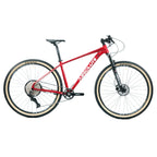 BICICLETA 29 ABSOLUTE WILD BOOST ELITE 12V C/ HIDRÁULICO VERMELHO (M-17)