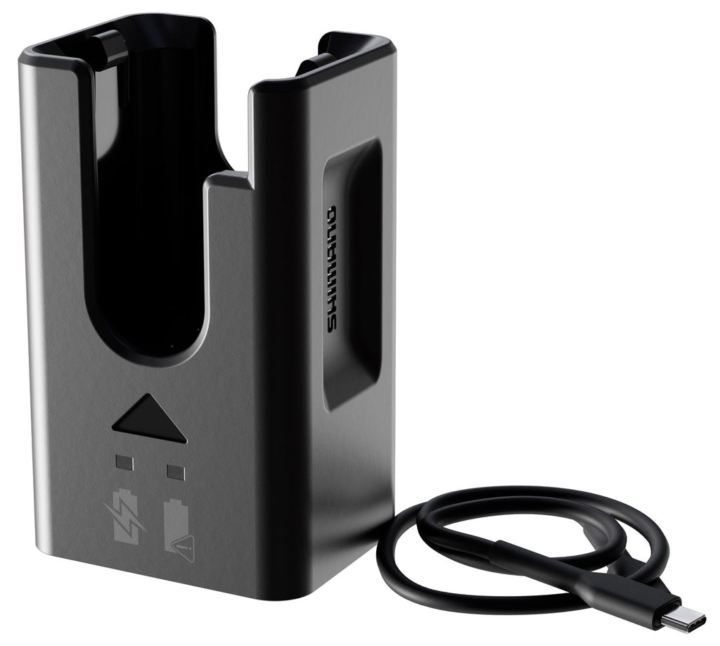 CARREGADOR E BATERIA E-BIKE SYSTEMS ECDN100 COM CABO IECDN100A