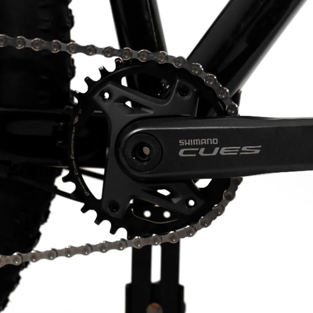Bicicleta 29 Tsw Stamina Boost Sr 9v Shimano Cues U4000 2024