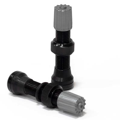 Valvula Tubeless Absolute Schrader Grossa