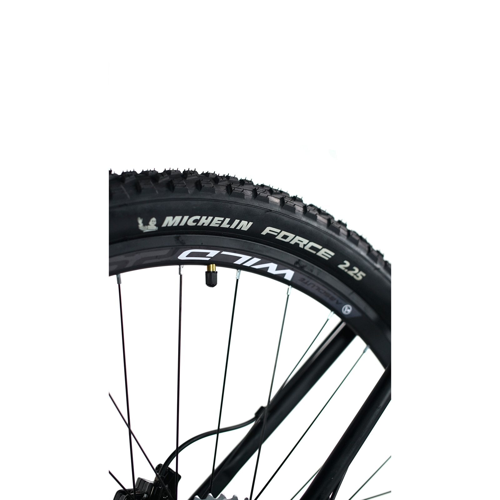 Bicicleta 29 Absolute Wild Team 12v Hidráulico C/ Manitou