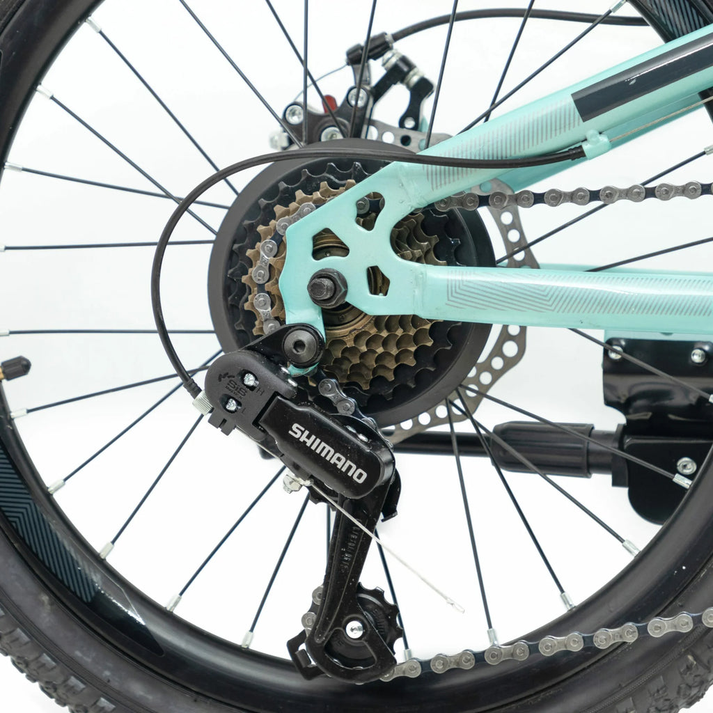 Bicicleta 20 Rava Pressure Jr 7v