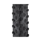 PNEU 29X2.25 SCHWALBE RACING RAY PERFORMANCE ADDIX - PRETO