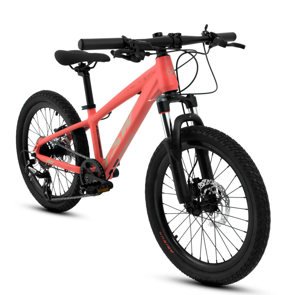 BICICLETA 20 TSW HUNCH 8V