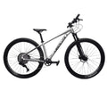 BICICLETA 29 ABSOLUTE WILD BOOST ELITE 12V C/ HIDRÁULICO POLIDO (S - 15)